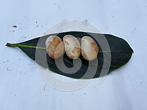 Ripe jackfruit seeds ,Jackfruit seeds in the Green leaf Jackfruit is commonly used inÂ  India